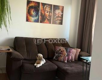IMG-20260601-WA0053.jpg · Apartamento, 2 dormitórios, 44 m², em Chapéu do Sol