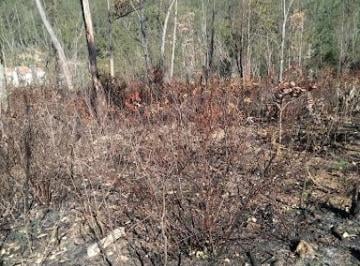 Imagem 1 · Terreno