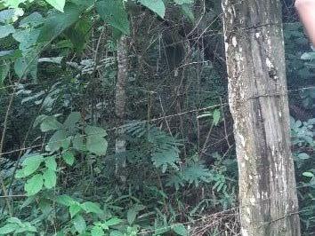 Imagem 1 · Terreno