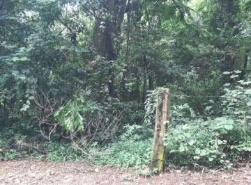 Imagem 1 · Terreno para venda em Paciência, Sabará