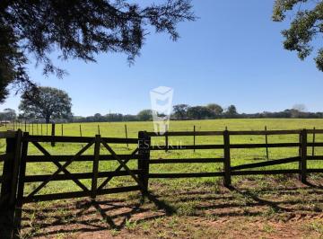 Imagem 1 · Fazenda