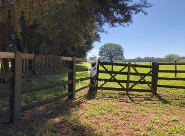 Imagem 1 · Fazenda