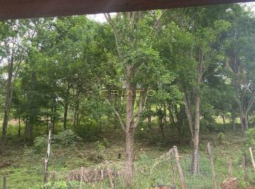 Imagem 1 · Fazenda
