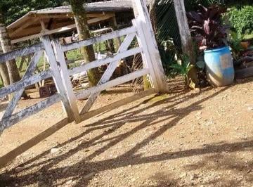 Imagem 1 · Sítio