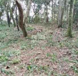 Foto 1 · RB1183- Lote/Terreno