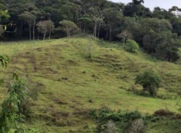 202606021213204375.jpg · Área Rural com 5 Alqueires à Venda em Paraisópolis-MG