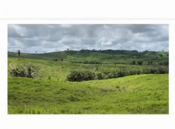 Foto 01 · Fazenda, Rural, São Geraldo do Araguaia, PA