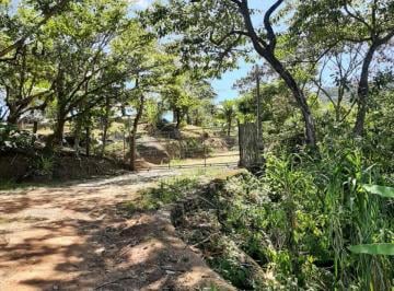 Terreno en Leilão · Direitos do terreno área total 25.053m² - Engenho D´água - Ilhabela/SP