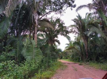 Rural de 2 quartos, Colinas do Sul · OPORTUNIDADE, FAZENDA PARA PECUÁRIA OU LOTEAMENTO DE CHÁCARAS, EXCELENTE PREÇO!!!