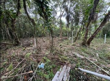 202503171600556672.png · Terreno para Venda em Itanhaém, Jardim Marambá 2