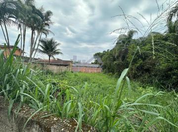 20231114120014693.jpg · Terreno para Venda em Itanhaém, Parque Augustus