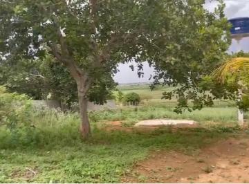 Áreas à venda em rua pública, BOA VISTA, Arapiraca, AL · Áreas à venda em rua pública, BOA VISTA, Arapiraca, AL
