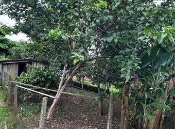c97bb0cb-3172-42c3-97f4-c19210f9bb23.jpeg · Loteamento Campo Verde | Itapema - Morretes | Terreno a Venda, 250 m² de Área Total