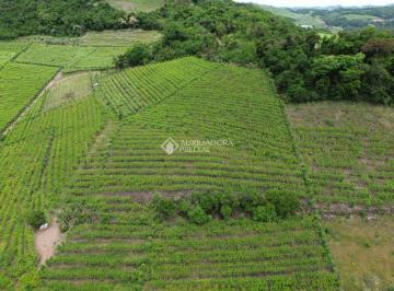 Rural · 9000m² · Área de Terra em Monte Belo do Sul RS com 9 hectares, casa e plantações. Lindo lugar para ser seu no