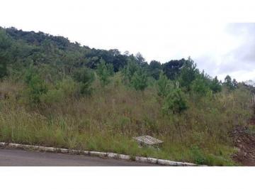 Foto 01 · Terreno, Linha Brasil, Nova Petrópolis, RS