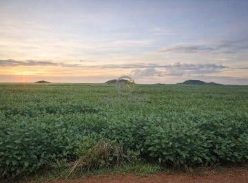 Horizonte de produtividade: lavoura de soja consolidada em topografia 100% plana, ideal para a mecanização integral no Mato Grosso. · Fazenda de 35 mil ha à Venda em Santa Terezinha - MT | Agro