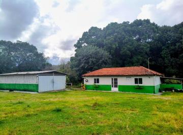 Rural de 5 quartos, Colinas do Sul · FAZENDA COM EXCELENTE LOGÍSTICA, À BEIRA ASFALTO