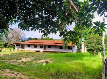 Rural de 5 quartos, Colinas do Sul · FAZENDA COM EXCELENTE LOGÍSTICA, À BEIRA ASFALTO