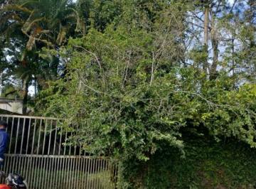 202506251548088650.jpg · Terreno para Venda em Itanhaém, Parque Novaro
