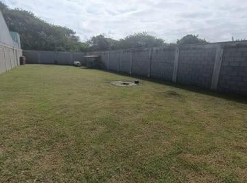 202507141226251014.jpg · Terreno para Venda em Itanhaém, Jardim Jamaica