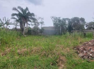 202510271001456747.jpg · Terreno para Venda em Itanhaém, Palmeiras 2