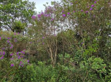 202512291109359576.jpeg · Terreno para Venda em Itanhaém, Jardim Marambá 2