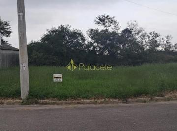 1000135785.jpg · Terreno à venda, Residencial e Comercial Cidade Jardim, Pindamonhangaba, SP