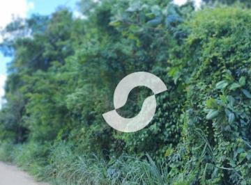 3a64703b3b09710a7fee64120bf57f4bc1a50f59 · Área à venda, 30.000 m² por R$ 3.800.000 - Itapeba - Maricá/RJ