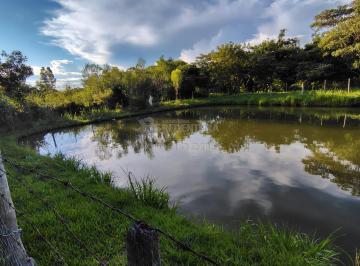 Rural · 66000m² · 2 Quartos · Venda de Sítio em Nhandeara-SP com casa com 02 quartos, poço artesiano e curral