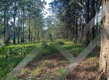 f3867d745e1379992474bd5696416689c806e641 · AREA A VENDA EM SANTANA DE PARNAIBA