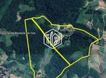 Rural · 6000m² · 6 Quartos · 6 Vagas · Fazenda / Sítio para venda em Vila Élvio de 6000.00m² com 6 Quartos, 2 Suites e 6 Garagens