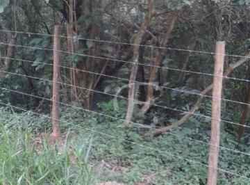 87339c1c7ae6d2321b387ef418c679ee6a993549 · Terreno à venda, 956 m² por R$ 320.000,00 - Parque Petrópolis - Mairiporã/SP