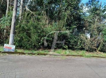 6e34a4d8dae483daec4c074a924548d838d39d6c · Terreno à venda, 1100 m² por R$ 230.000,00 - Sausalito - Mairiporã/SP