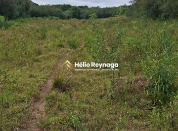 Terreno · 22ha · Terreno - O Cenário Perfeito para Pecuária com Riqueza Hídrica