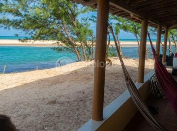 Casa · 2241m² · 2 Quartos · 3 Vagas · Casa em Zumbi com terreno imenso pra quer pensa em investir
