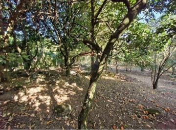 Terreno · 375m² · Terreno para venda em Chácara Recreio Floresta de 375.00m²