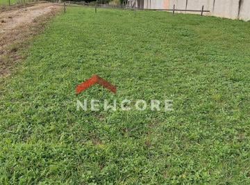Terreno · 200m² · Lote em Área Rural - Campo Largo da Roseira - São José dos Pinhais/PR