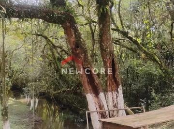 Rural de 1 quarto Venda R$ 489.430 · Chácara em Área Rural - Campo Largo da Roseira - São José dos Pinhais/PR