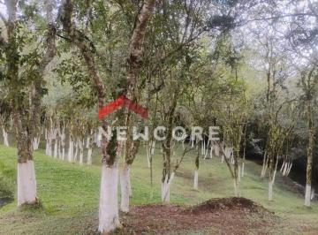 Rural · 6130m² · 1 Quarto · 5 Vagas · Chácara em Área Rural - Campo Largo da Roseira - São José dos Pinhais/PR