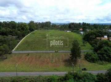 Terreno · 20000m² · Ideal para Investir ou Morar - 2.500m²