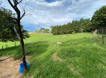 Imagem 1 · Fazenda