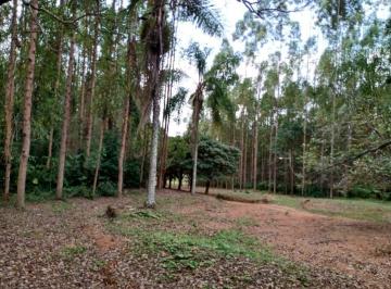 Imagem 1 · Fazenda
