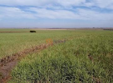 Imagem 1 · Fazenda