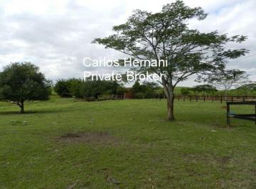 Imagem 1 · Fazenda