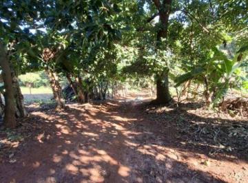 Imagem 1 · Fazenda