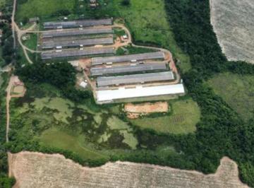 Imagem 1 · Sítio