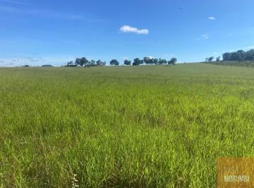 Imagem 1 · Fazenda