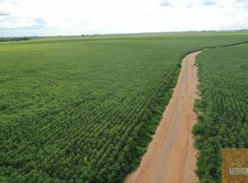 Imagem 1 · Fazenda