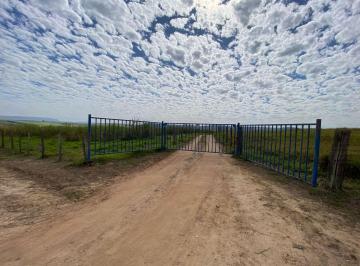 Imagem 1 · Fazenda