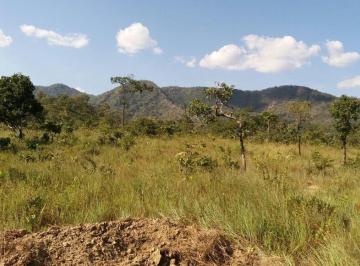 Imagem 1 · Fazenda